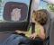 Сенници за кола и Светещ знак "Baby on board"(бебе в колата)