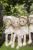 Rubens Barn кукла EcoBuds "Daisy"