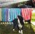 Dock&Bay Кърпа за кучета 90x50см - Dog Days