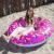 Swim Essentials: Пояс ⌀90 см. за деца от 6+ години "Toucan"