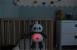Приятелите на Gro: Пандата Pip перфектната компания за сън Deluxe